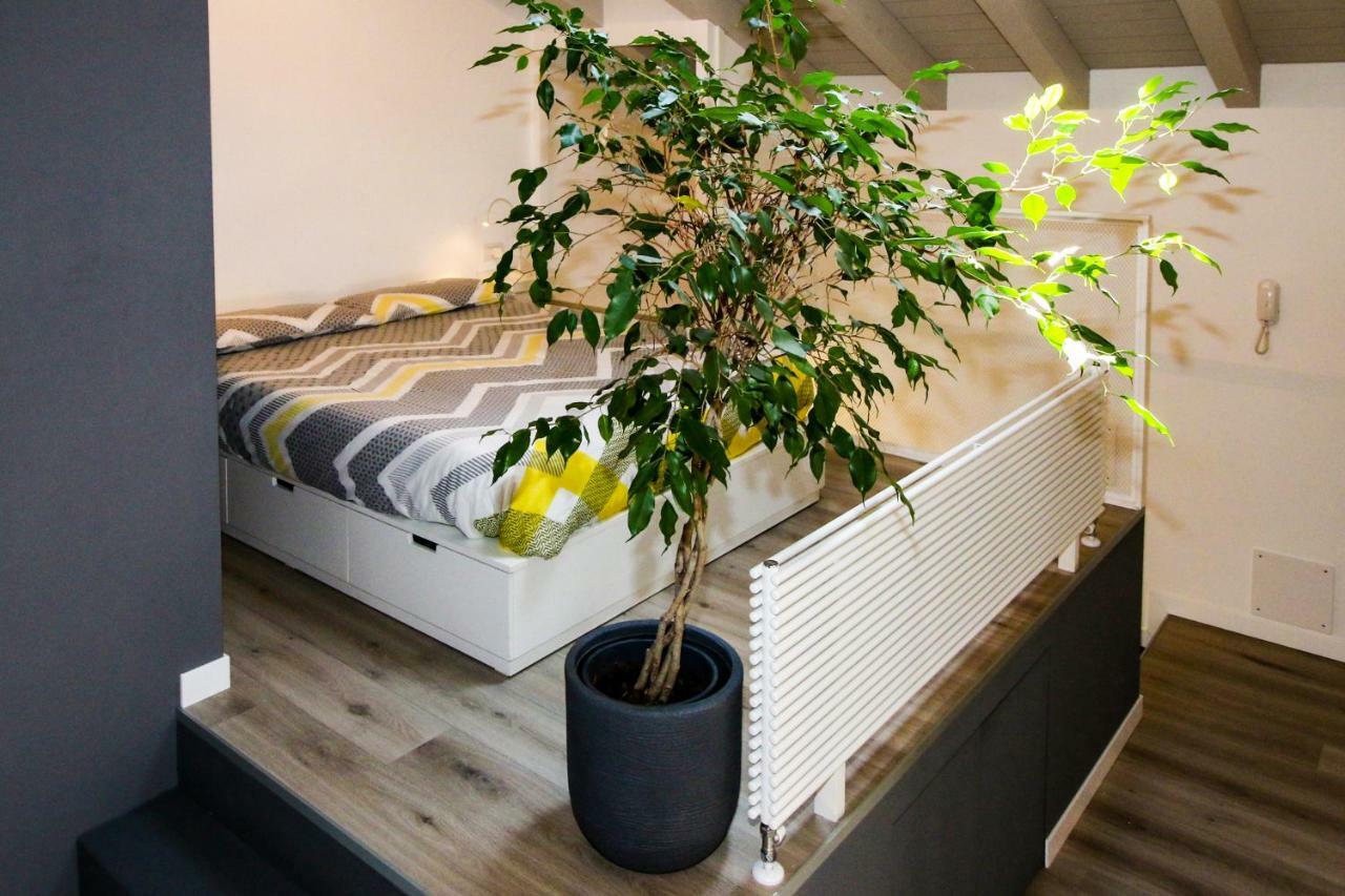 Sofi Apartment Chiavenna Eksteriør bilde